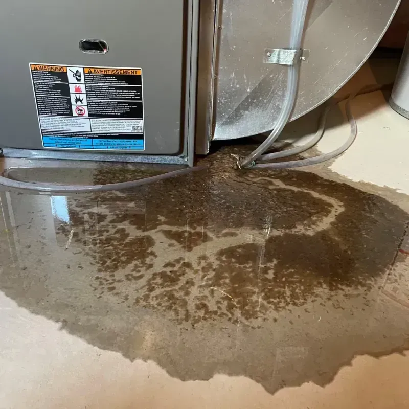 Appliance Leak Cleanup in Oxford, GA